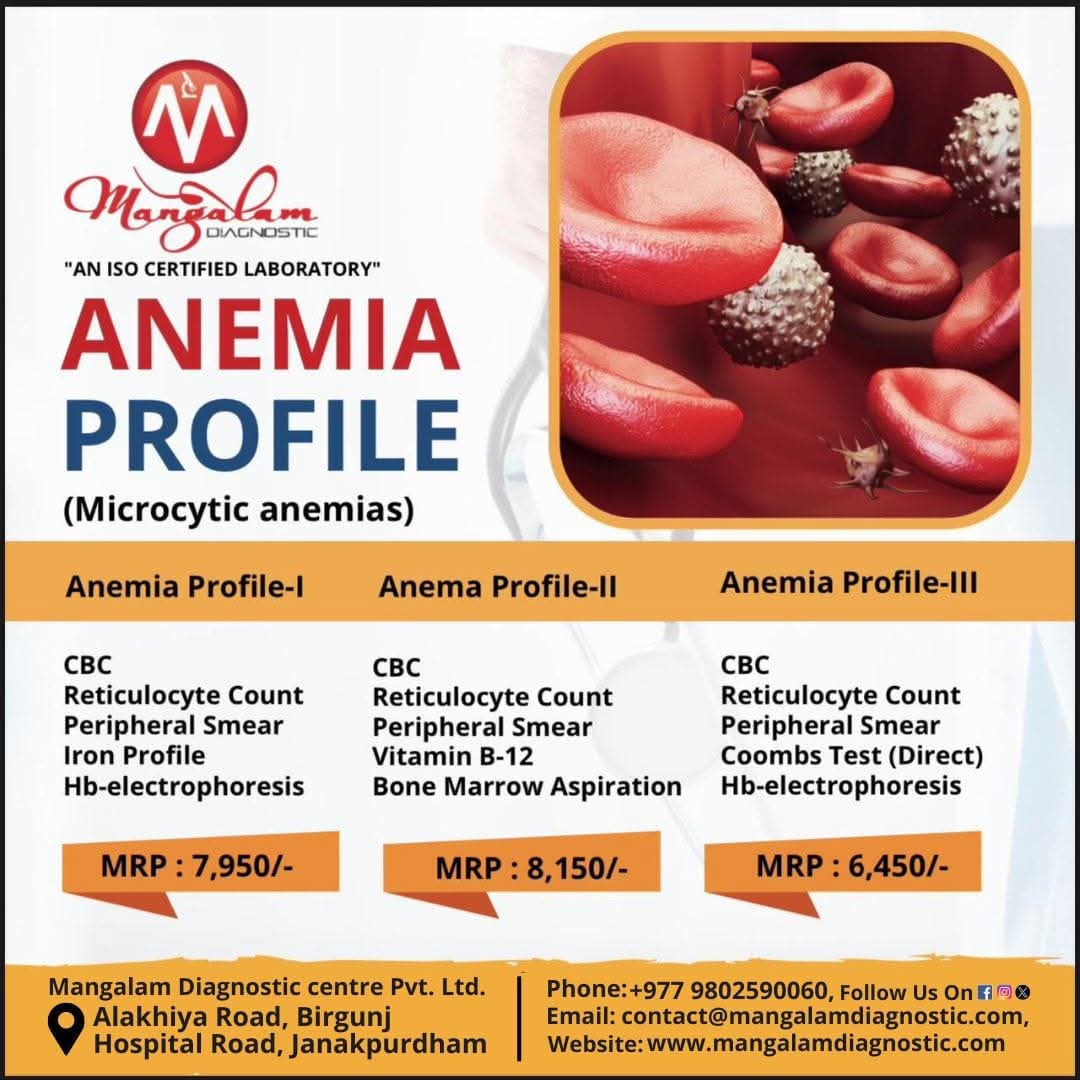 Anemia Profile Test