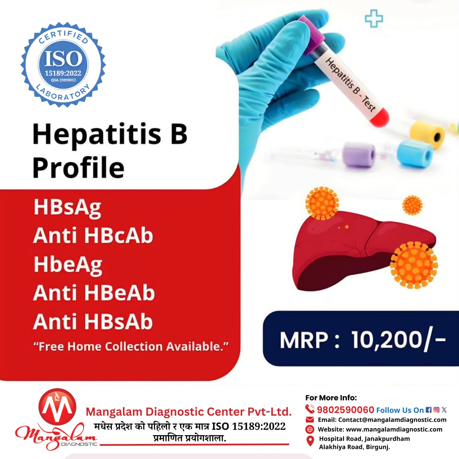 Hepatitis B Profile