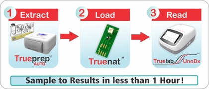 Step-by-step process from sample collection to PCR result report at Mangalam Diagnostic Center